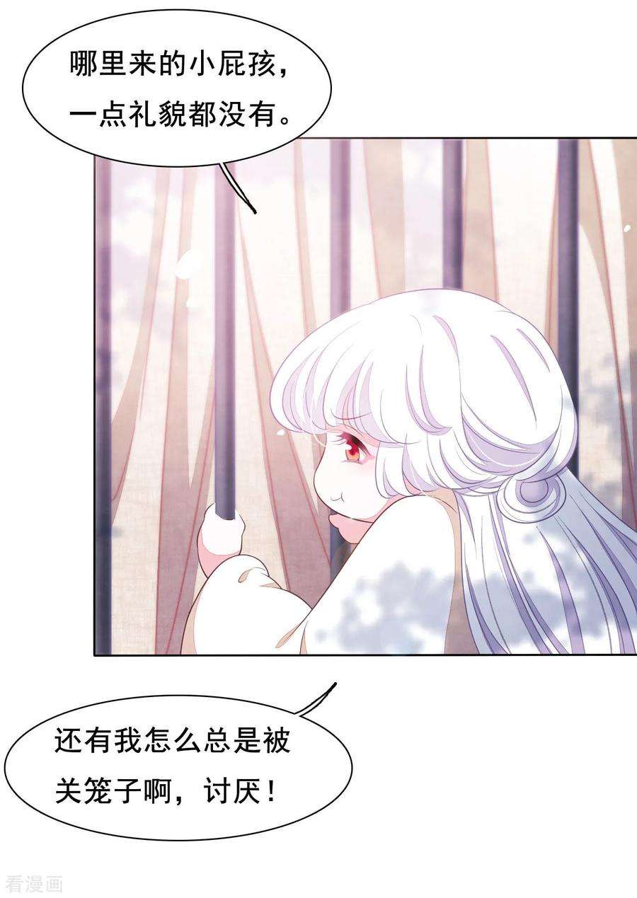 穿回古代做国宝20话 白发的猫妖？！