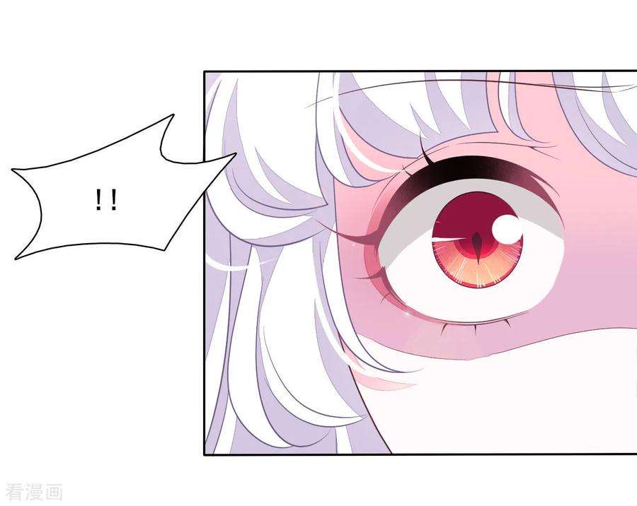 穿回古代做国宝20话 白发的猫妖？！