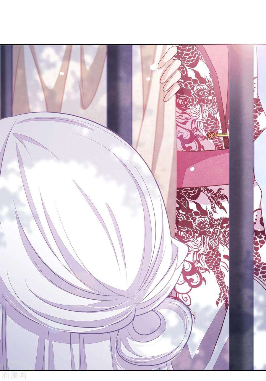 穿回古代做国宝20话 白发的猫妖？！