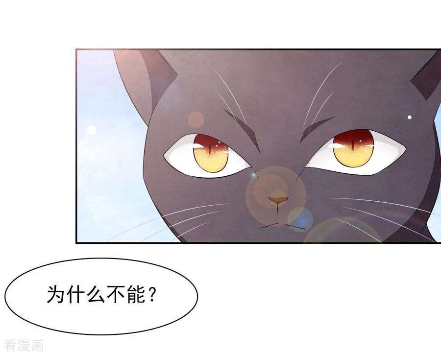 穿回古代做国宝30话 我还没有放弃做人