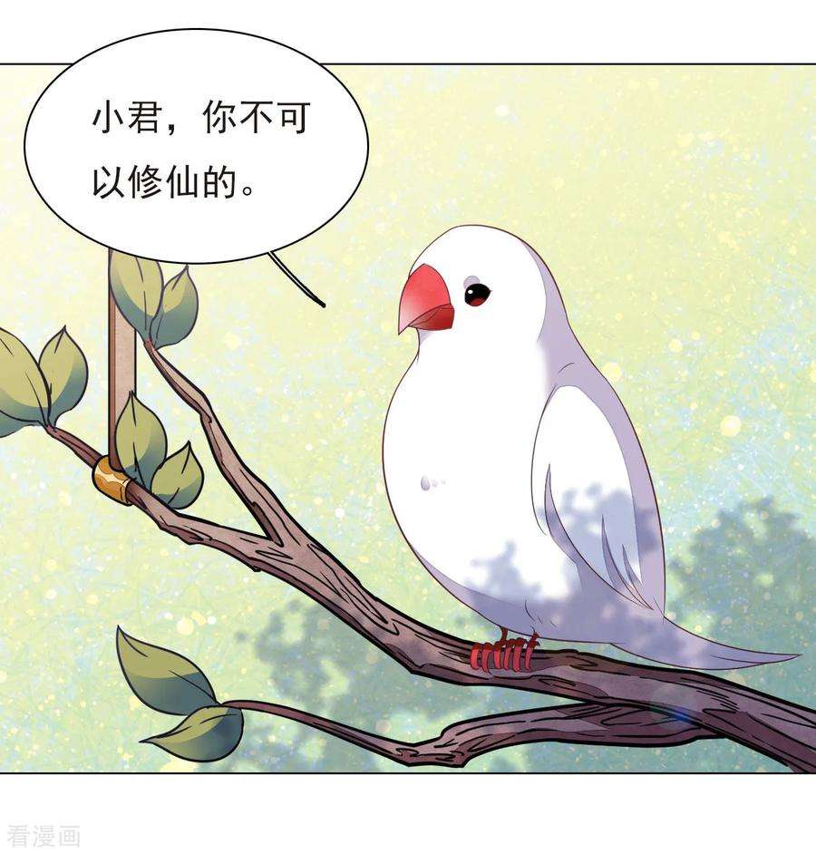 穿回古代做国宝37话 朋友啊……