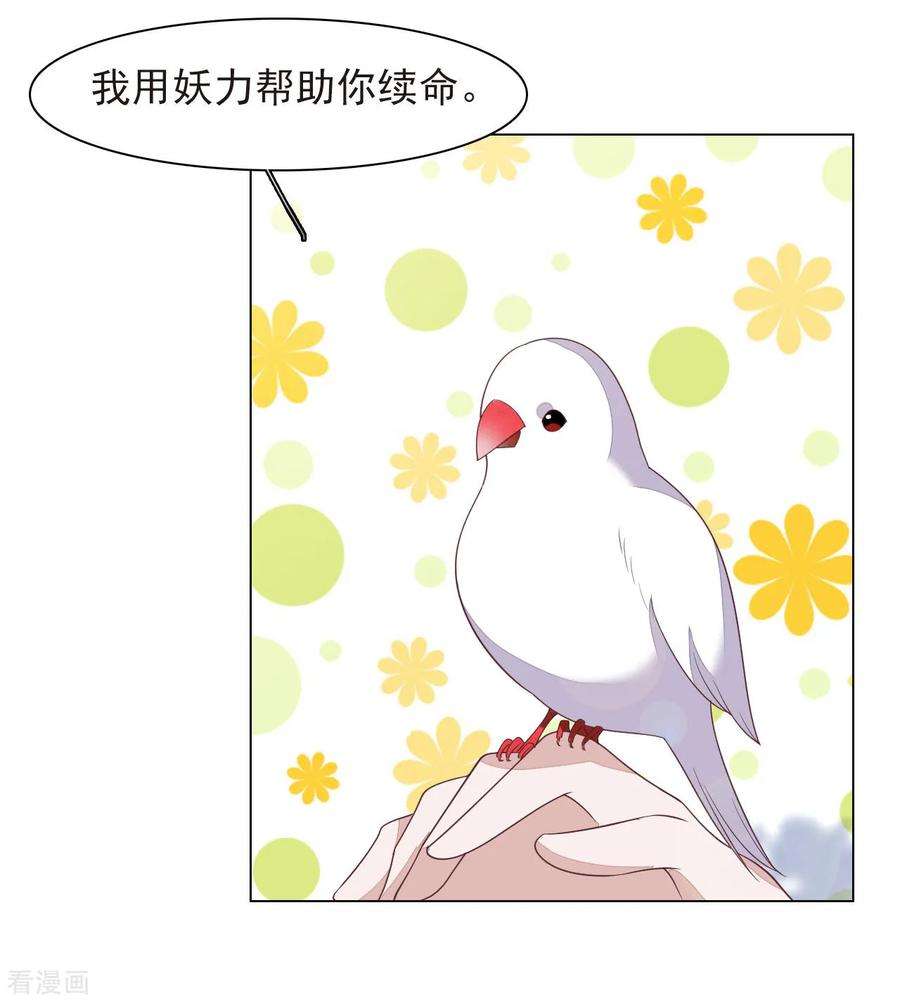 穿回古代做国宝37话 朋友啊……