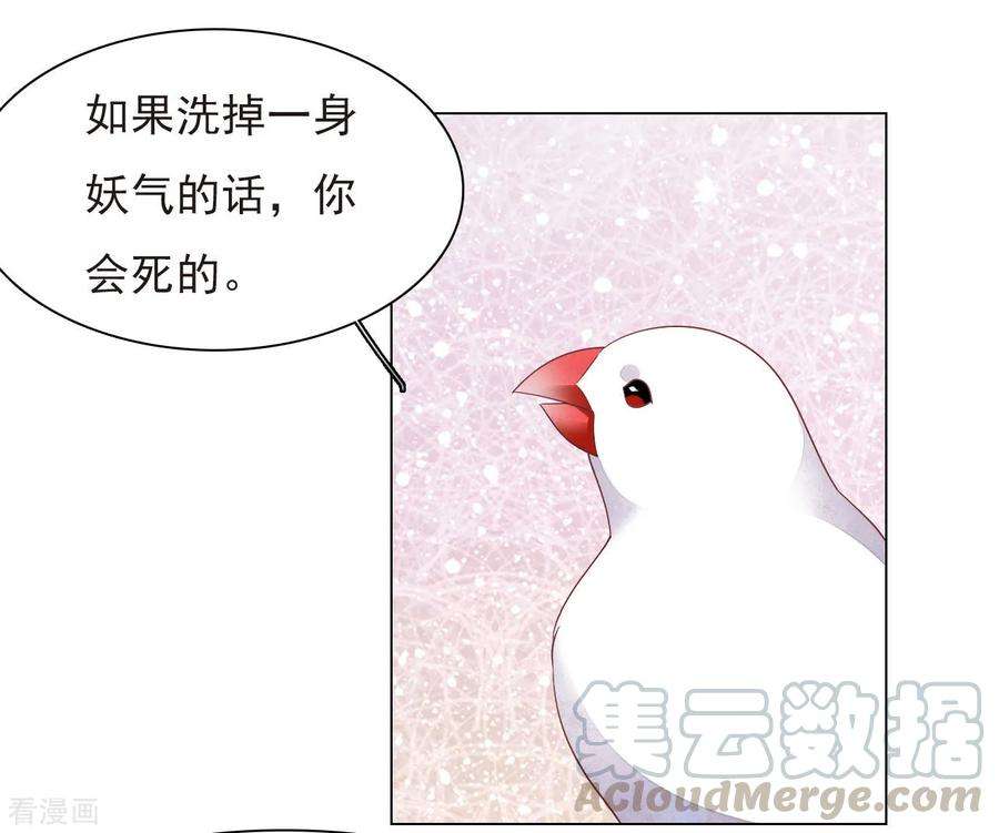 穿回古代做国宝37话 朋友啊……