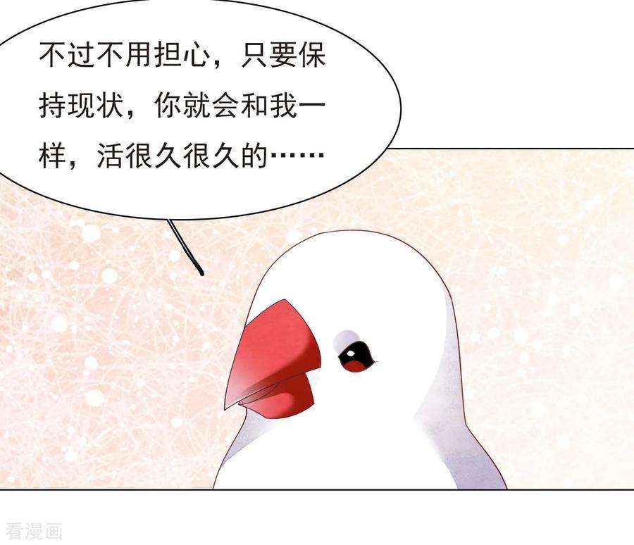 穿回古代做国宝37话 朋友啊……