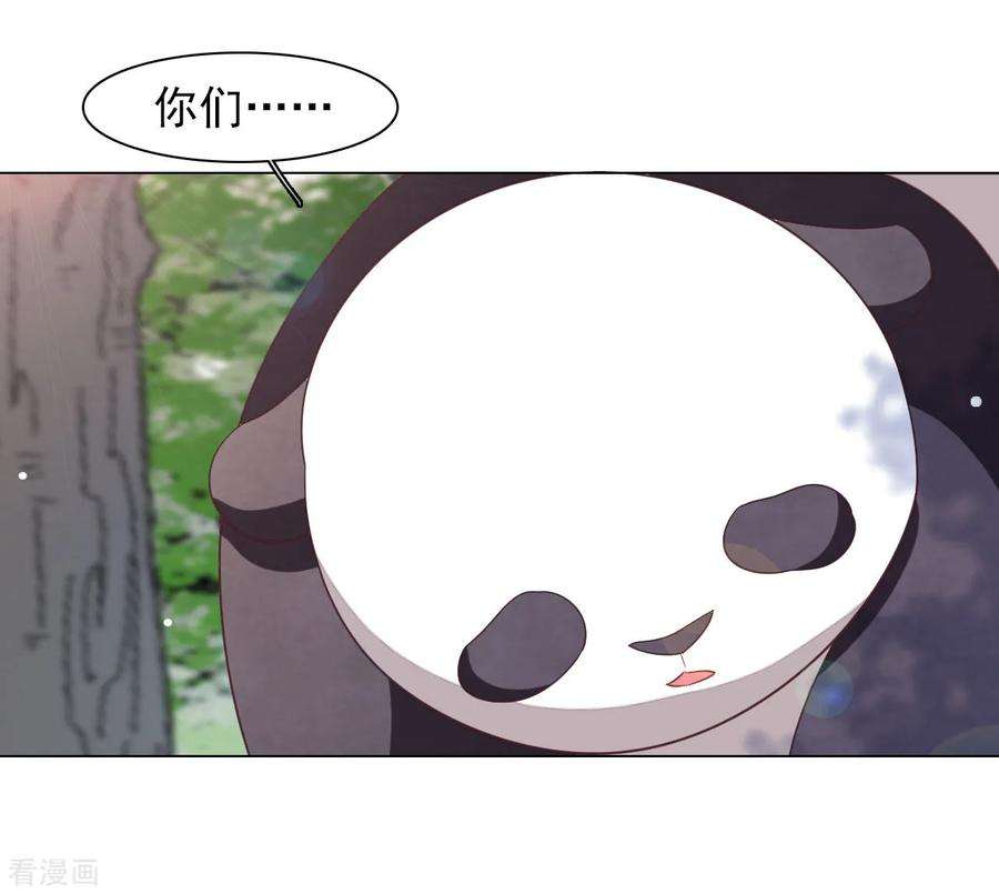 穿回古代做国宝46话 是……熊精啊！