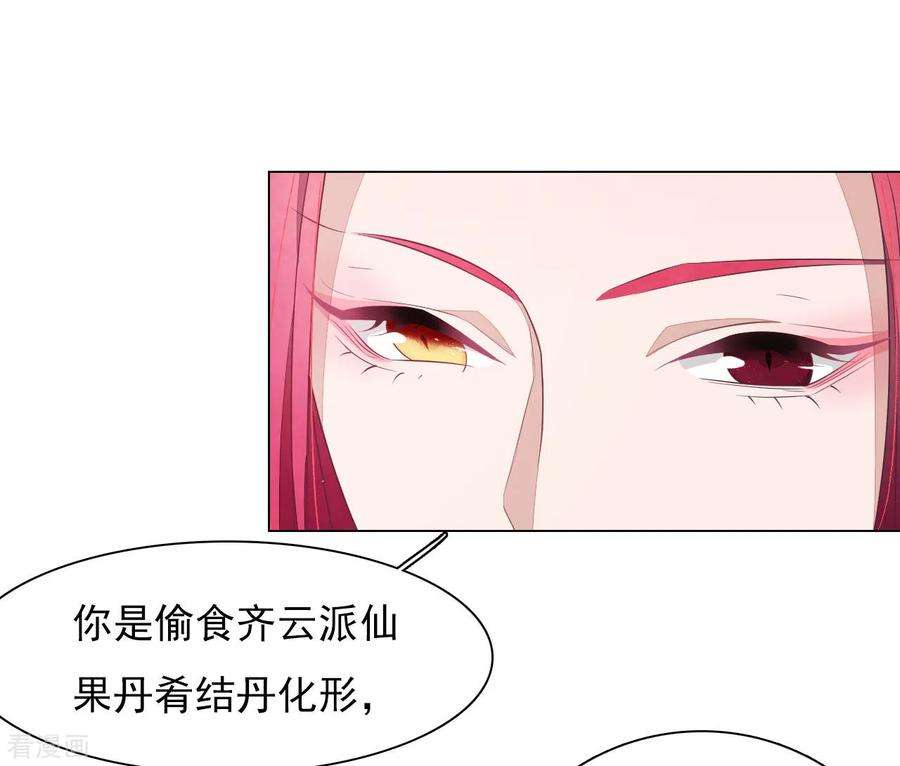 穿回古代做国宝51话 小瑜的选择