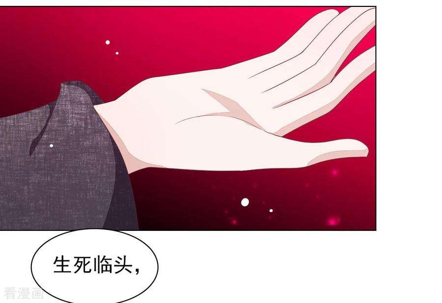 穿回古代做国宝53话 妖界之主