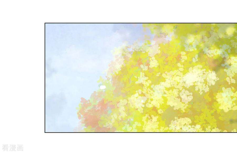 穿回古代做国宝70话 若望海·桑枝岛