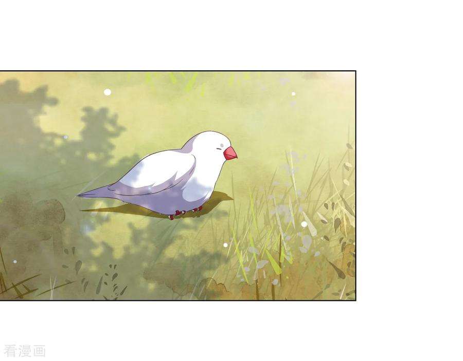 穿回古代做国宝75话 那是……妖界？