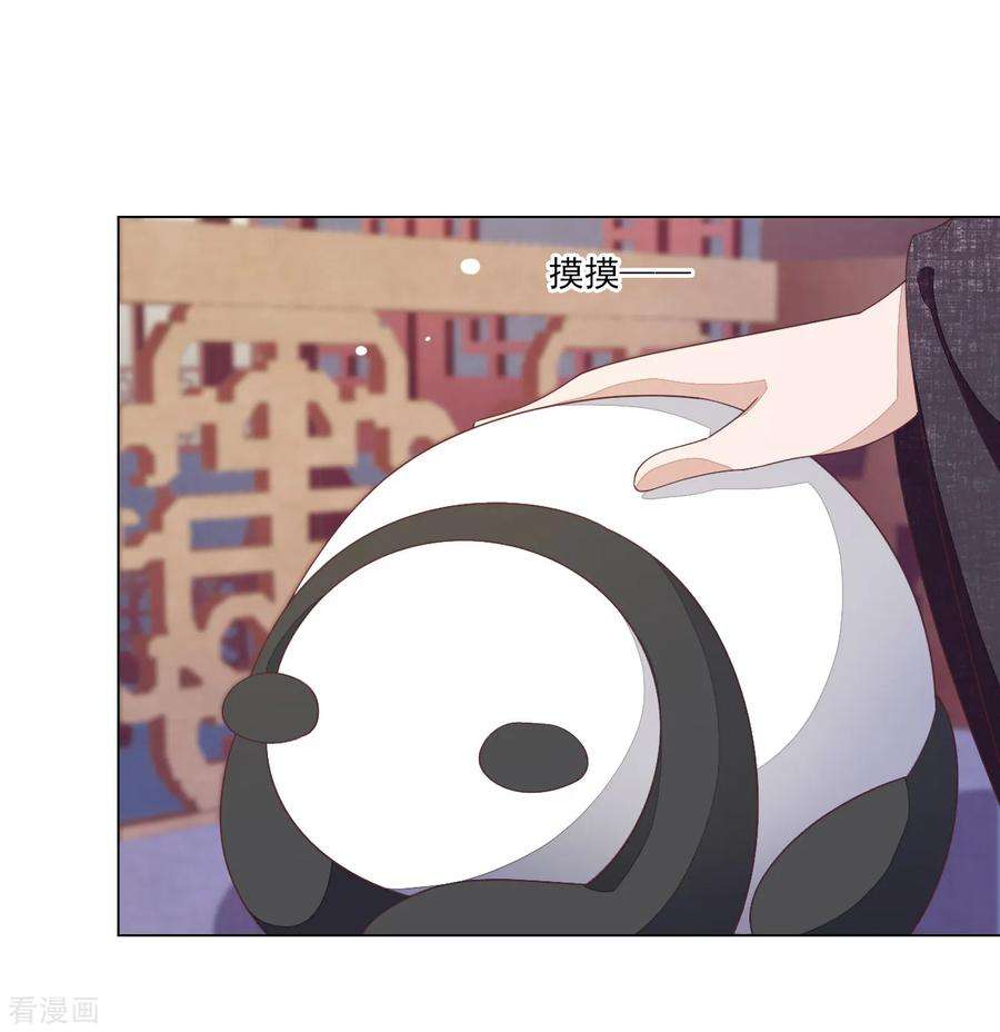 穿回古代做国宝91话 卖萌求生