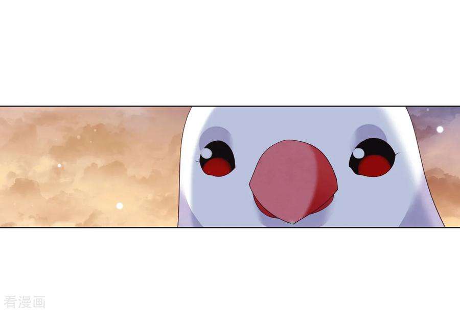 穿回古代做国宝106话 你好优秀哦