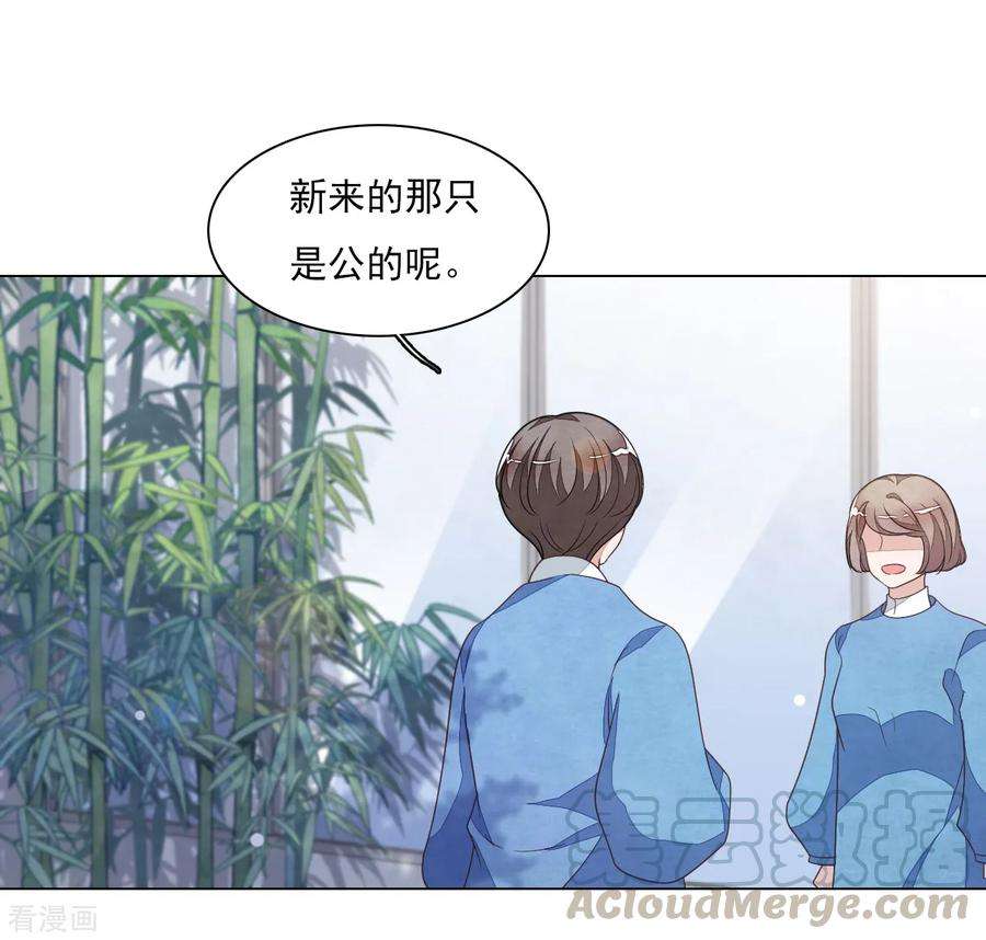 穿回古代做国宝130话 是她！