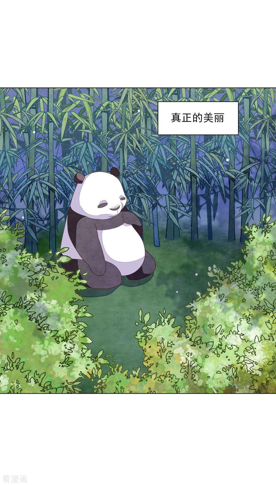 穿回古代做国宝138话 就决定是你了！