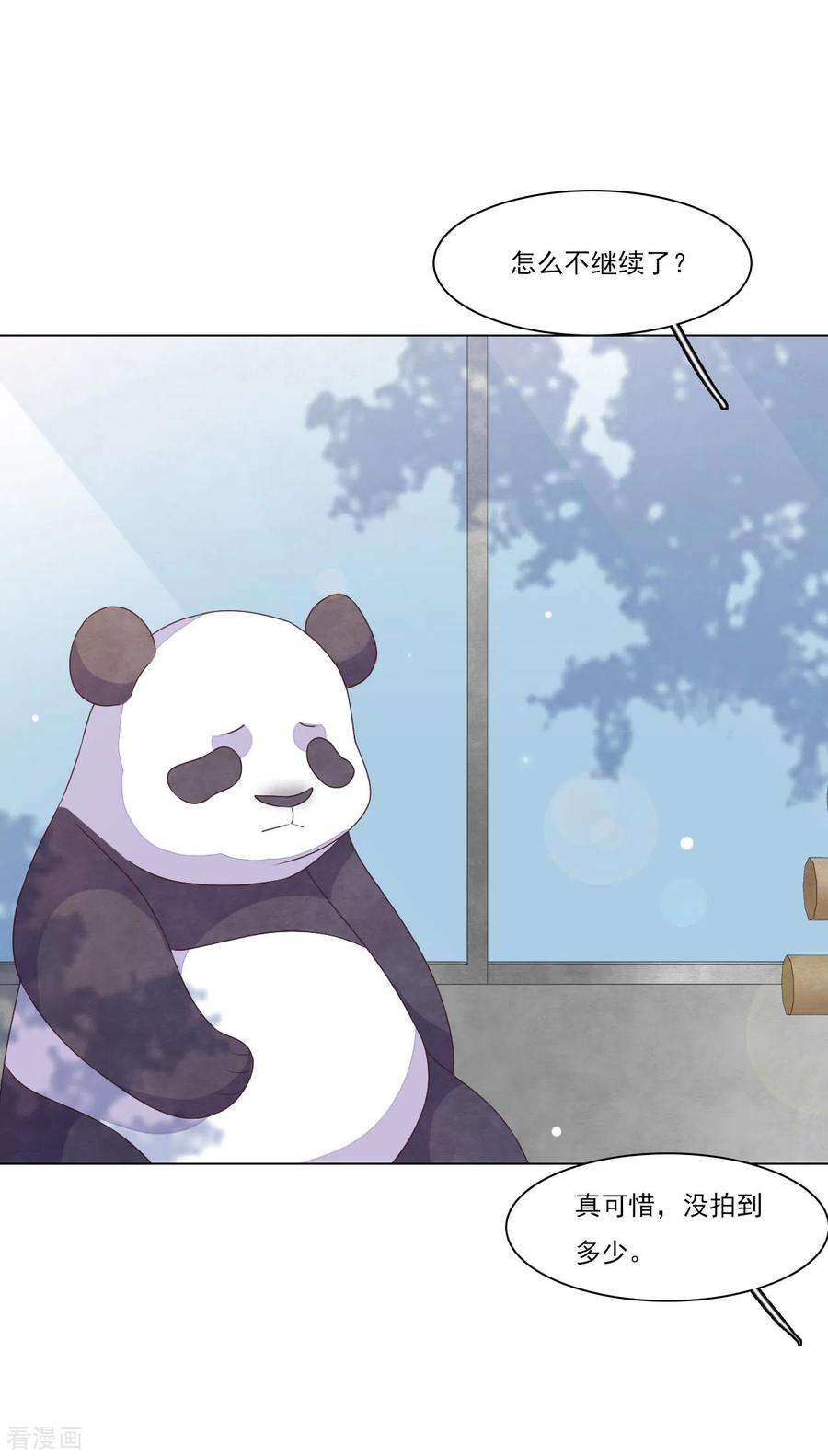 穿回古代做国宝185话 再见了小熊猫