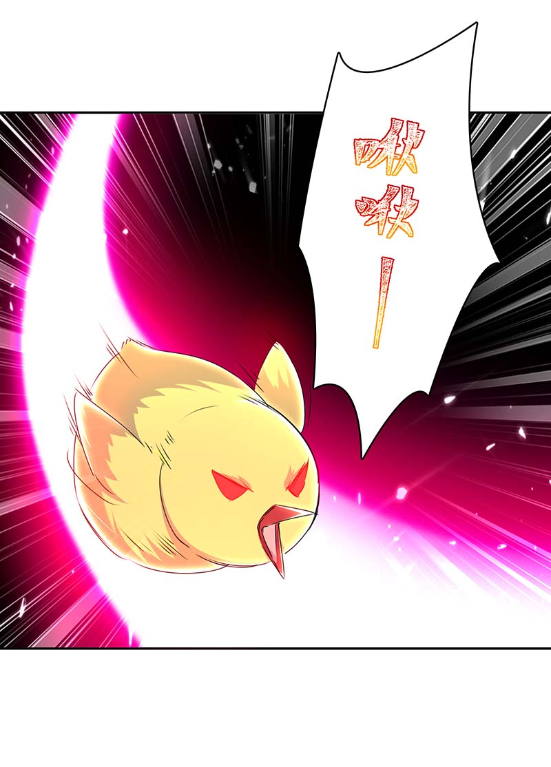 最强升级第293话 朱雀族之危