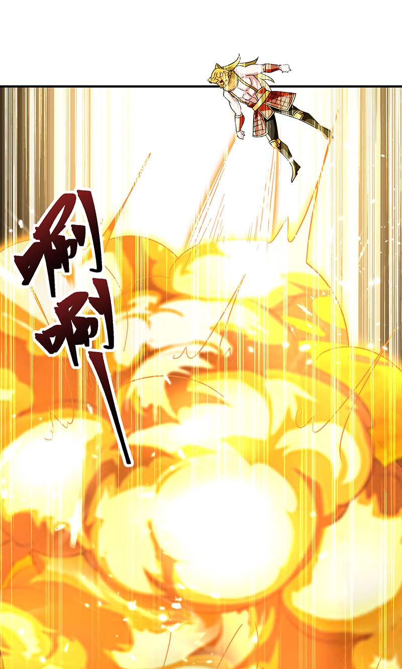 最强升级第300话 龟道人