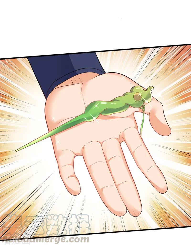 最强升级58话 炼丹师