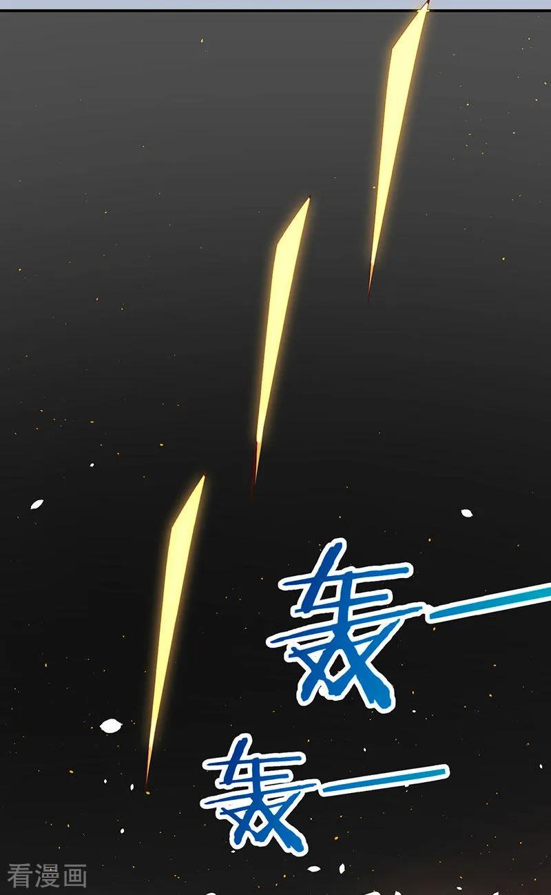 最强升级68话 意外的出场方式