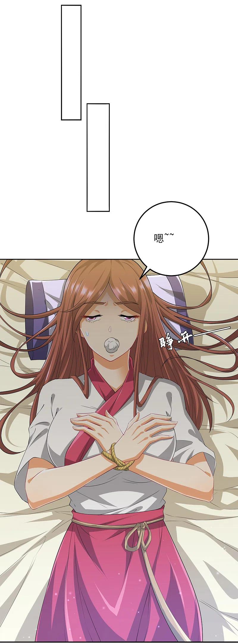 一等家丁237话 拯救行动