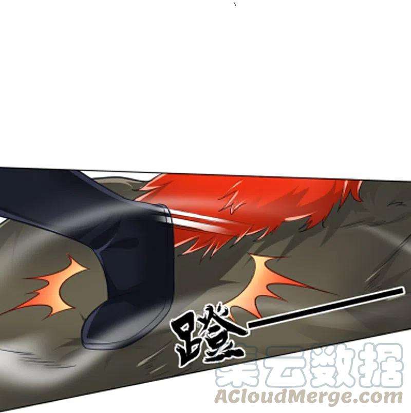 一等家丁264话 弑熊