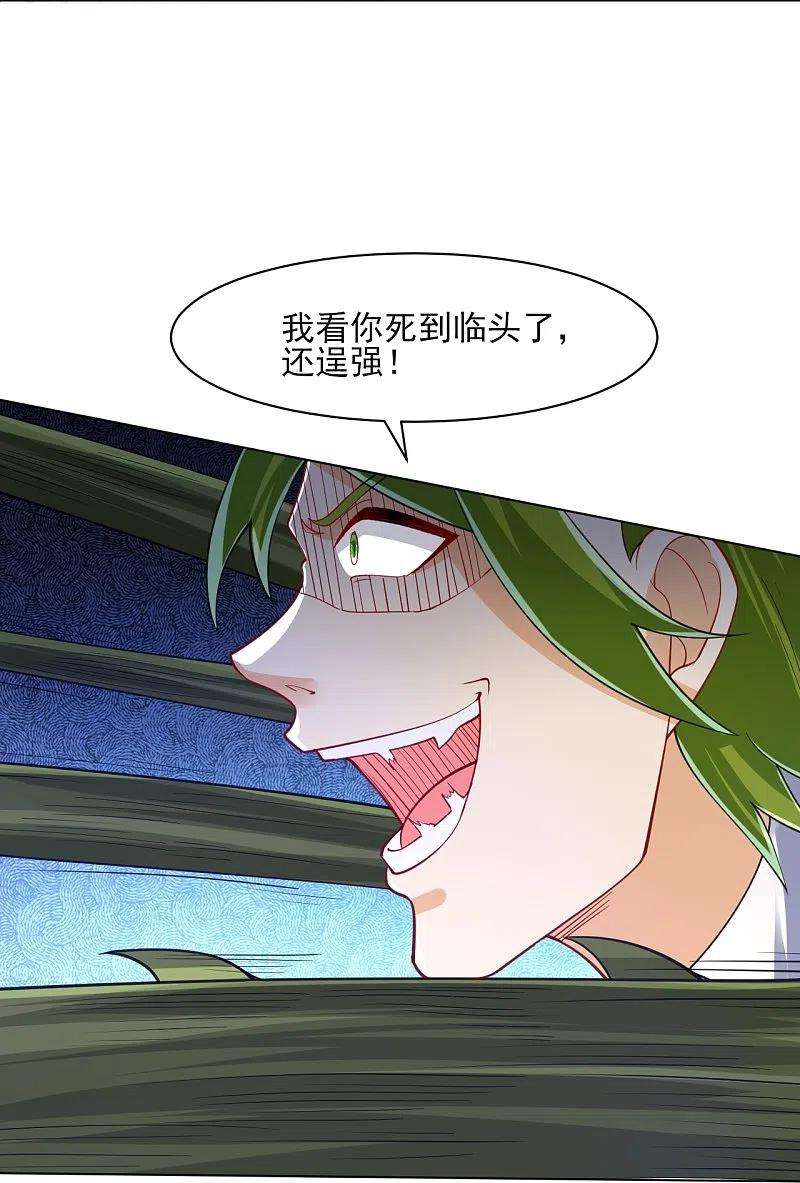 一等家丁270话 冰缠蛛