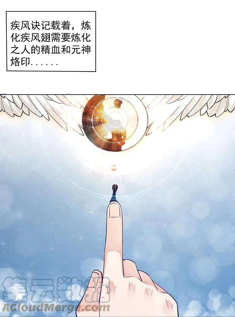一等家丁287话 乾坤羽翼