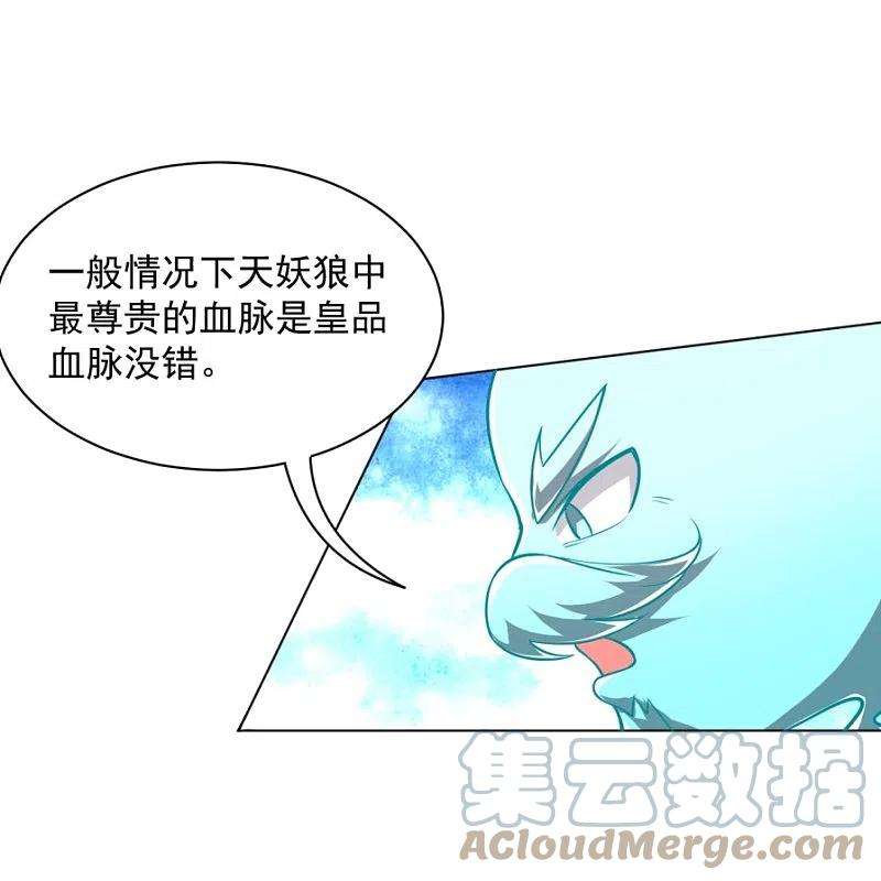 一等家丁300话 帝品舍利