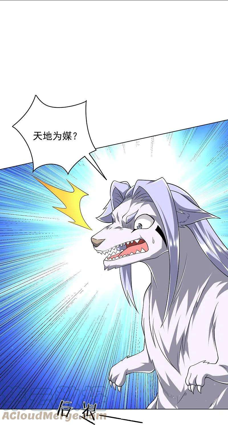 一等家丁306话 神秘的功夫