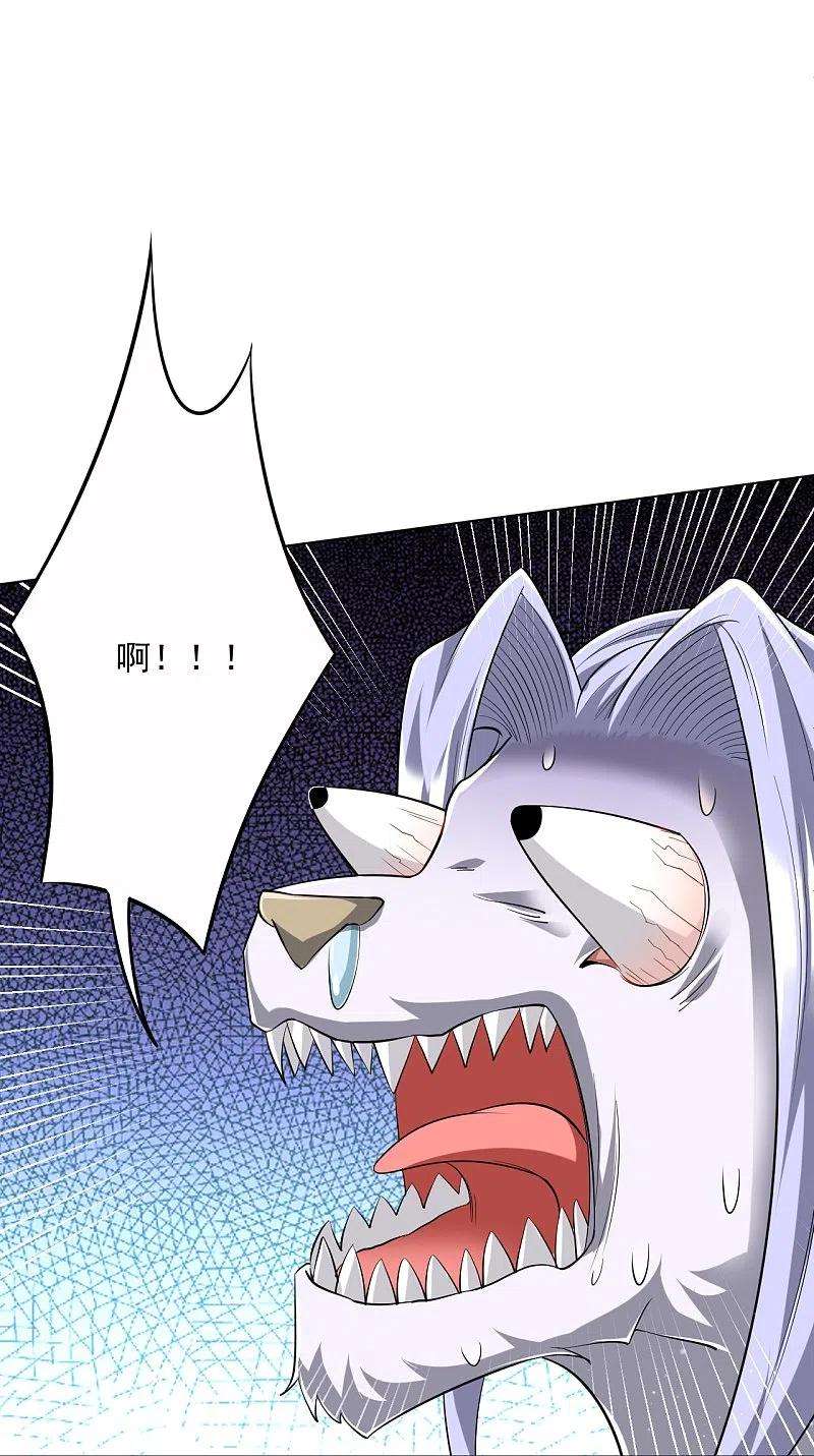 一等家丁306话 神秘的功夫