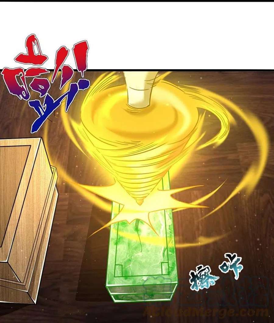 一等家丁317话 玉盒解封