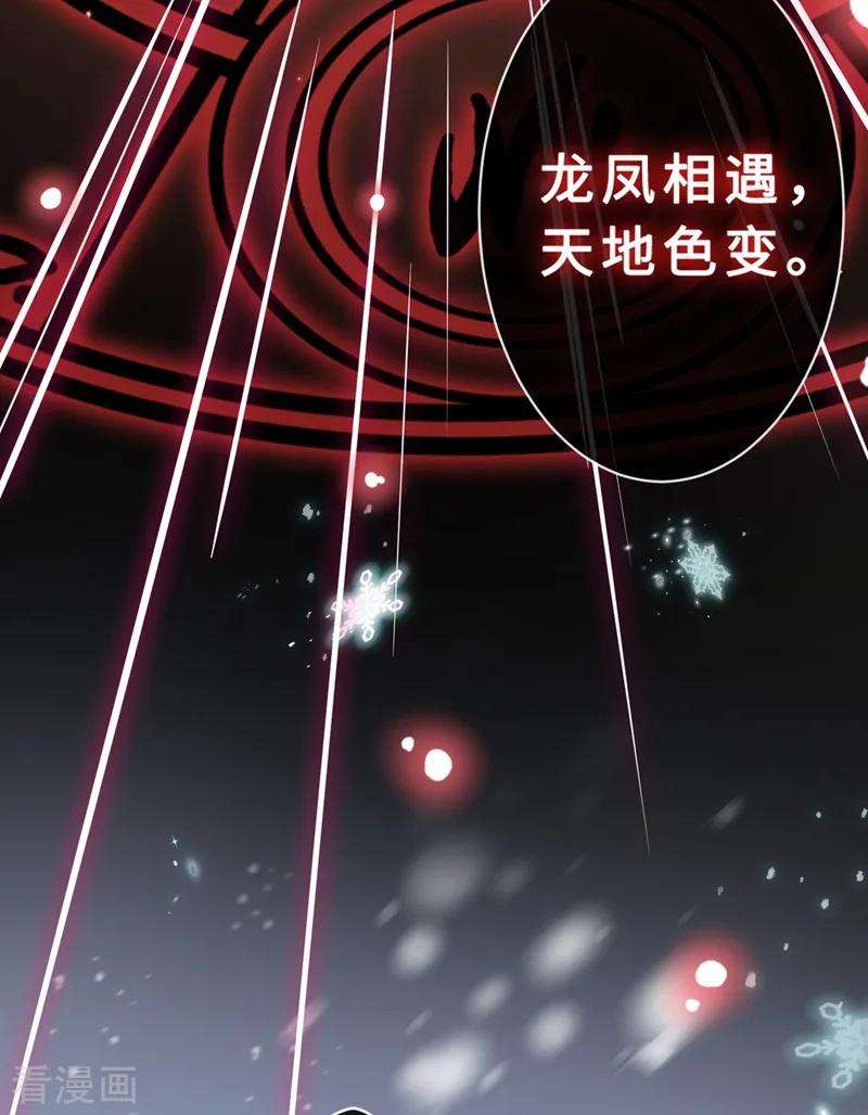 兽黑狂妃10话 命中注定你是本王的妻