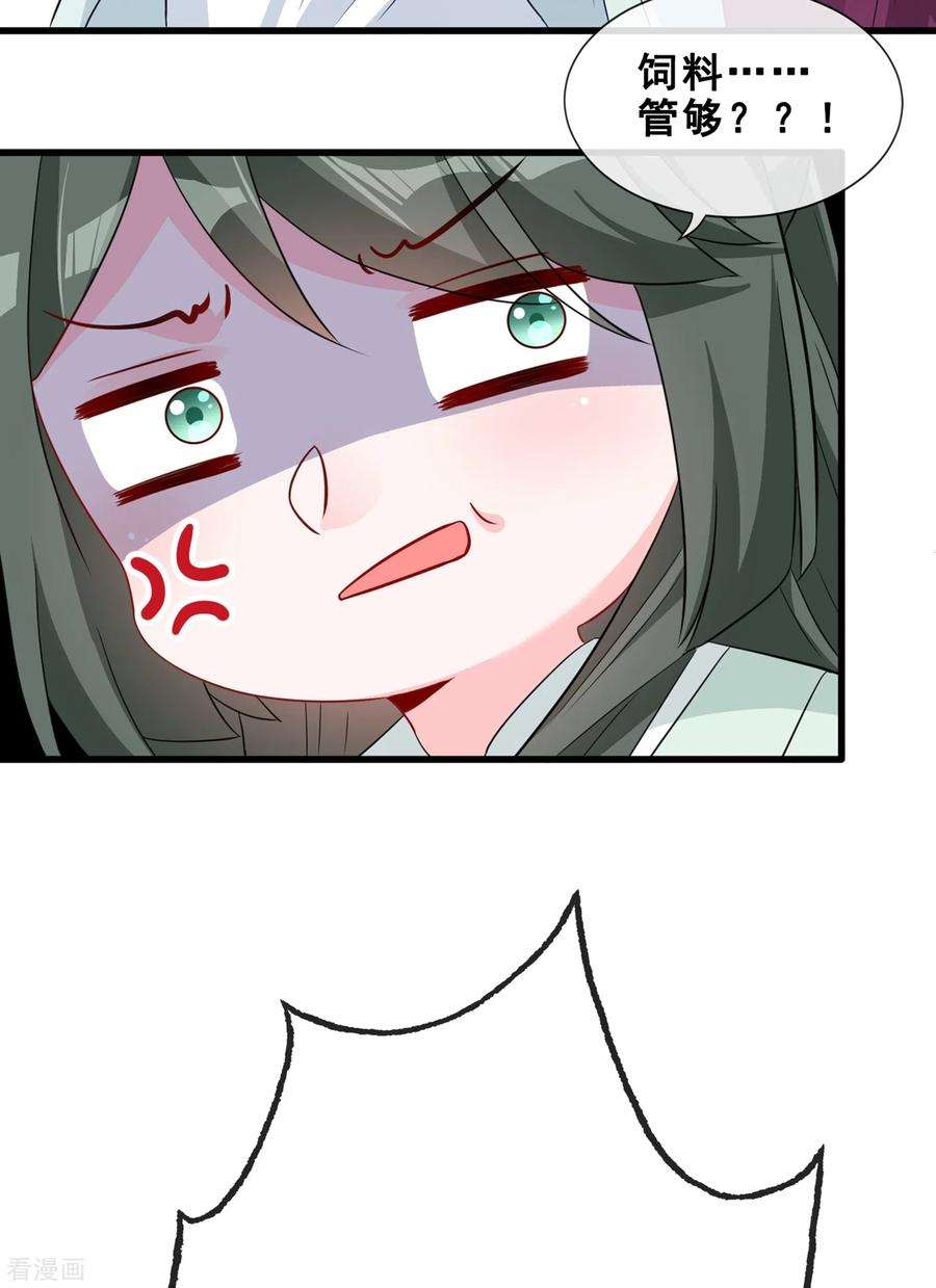 兽黑狂妃24话 又小又绿，和宁真配！