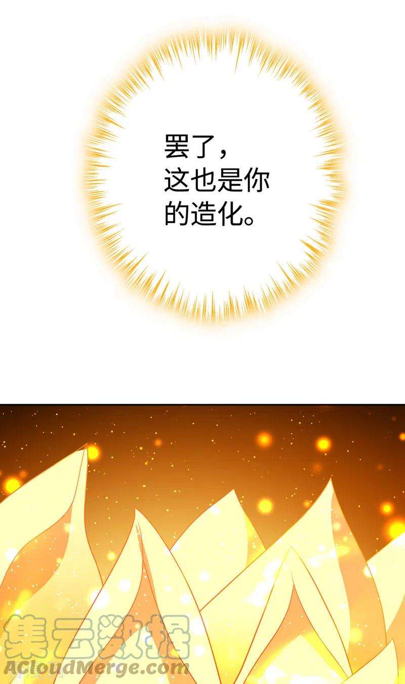 兽黑狂妃110话 我失忆了？！