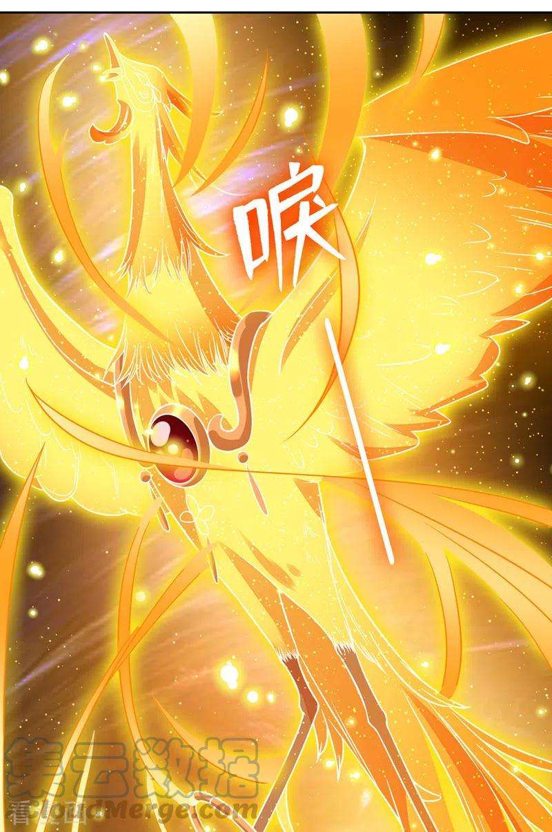 兽黑狂妃110话 我失忆了？！