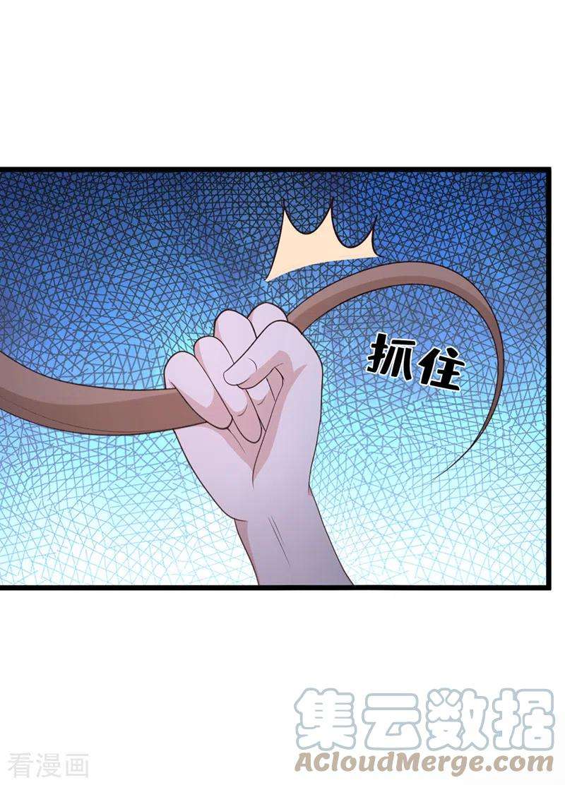 兽黑狂妃160话 你的命，值多少灵石