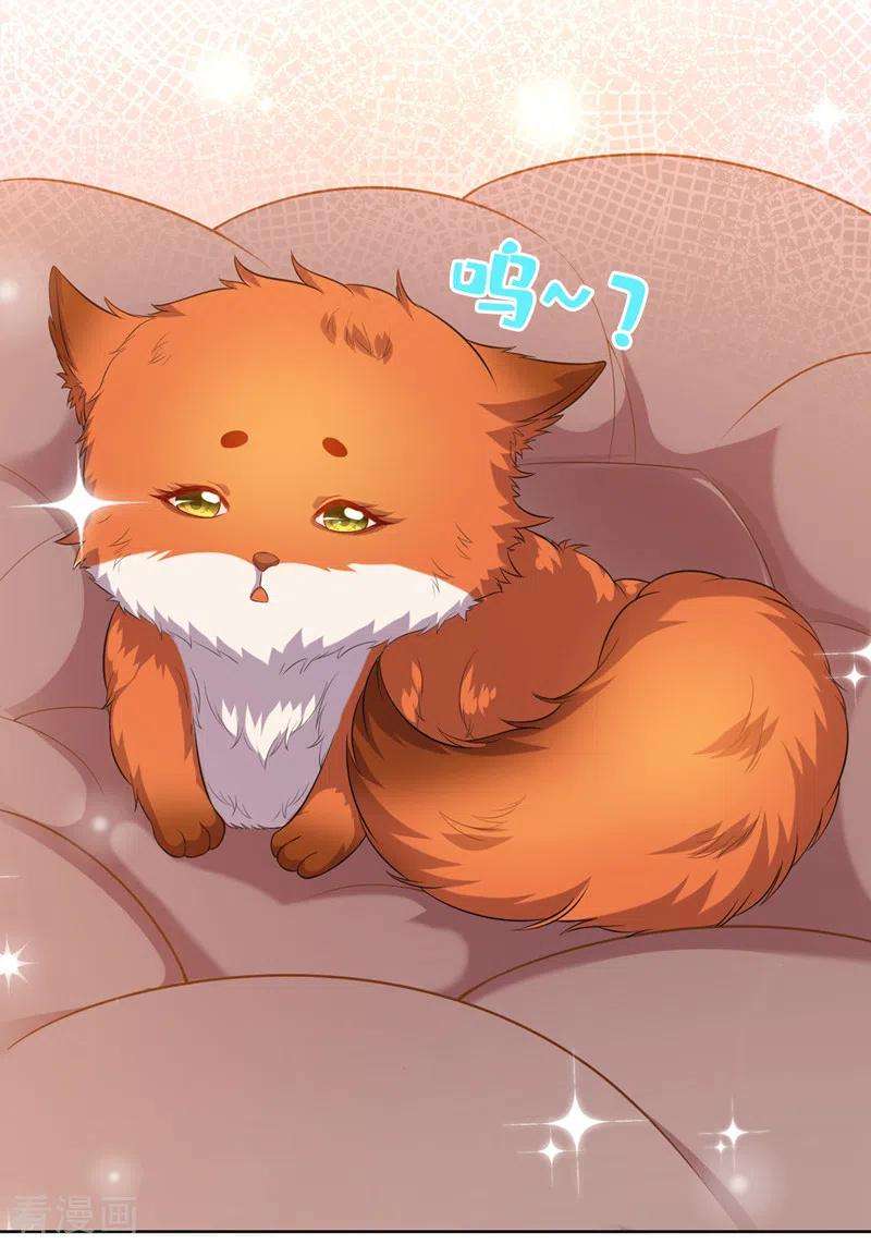 兽黑狂妃166话 炼丹师比赛？