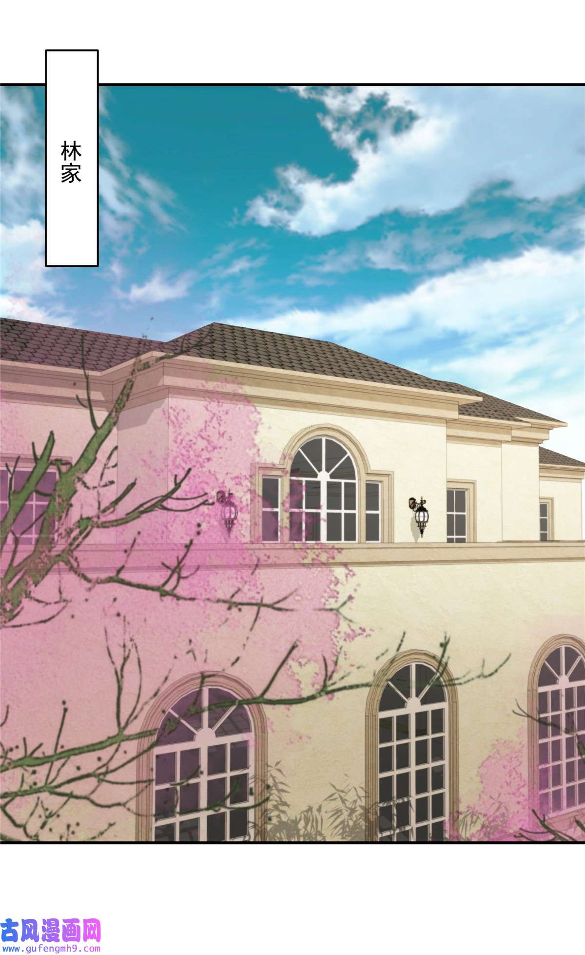 重生相逢：给你我的独家宠溺241 拿到资料