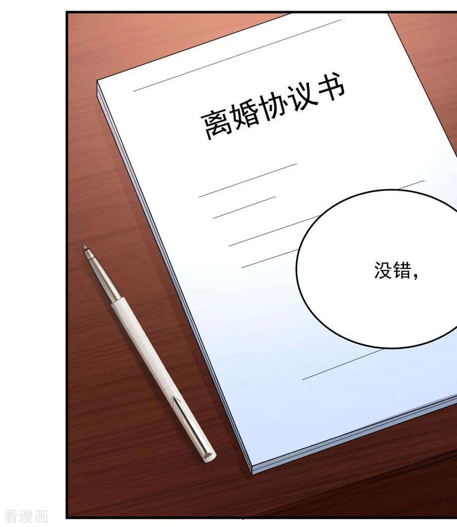 重生相逢：给你我的独家宠溺28话 离婚协议书