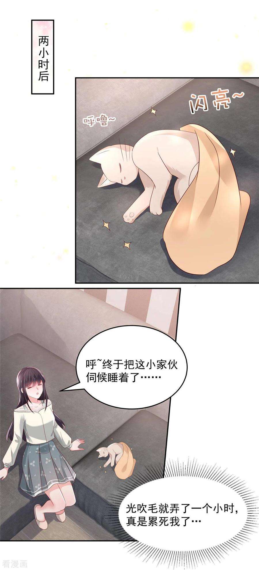 重生相逢：给你我的独家宠溺58话 捡了只小猫咪