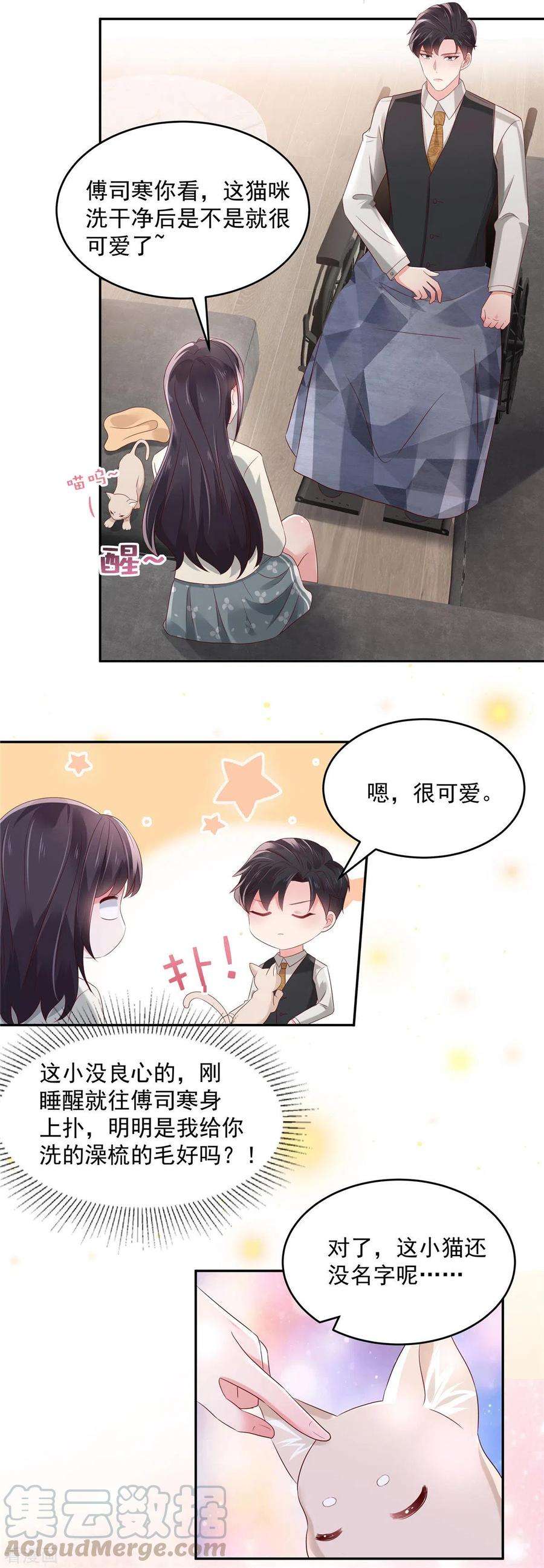 重生相逢：给你我的独家宠溺58话 捡了只小猫咪