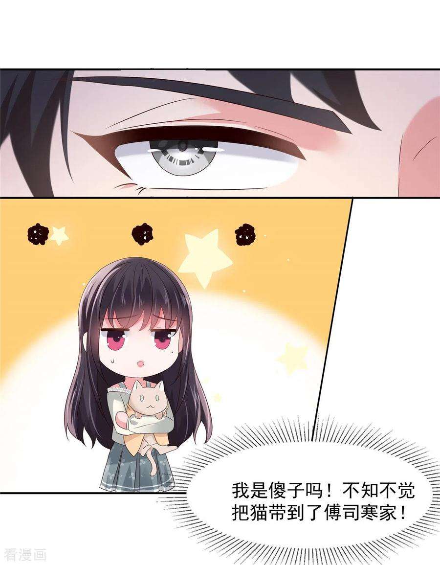 重生相逢：给你我的独家宠溺58话 捡了只小猫咪