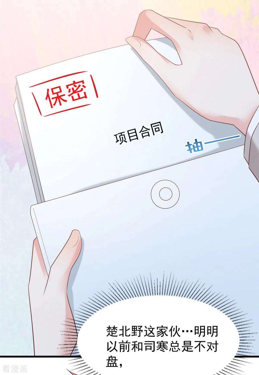 重生相逢：给你我的独家宠溺202话 楚氏合作的项目