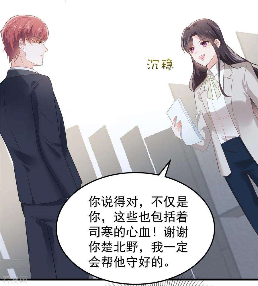 重生相逢：给你我的独家宠溺202话 楚氏合作的项目