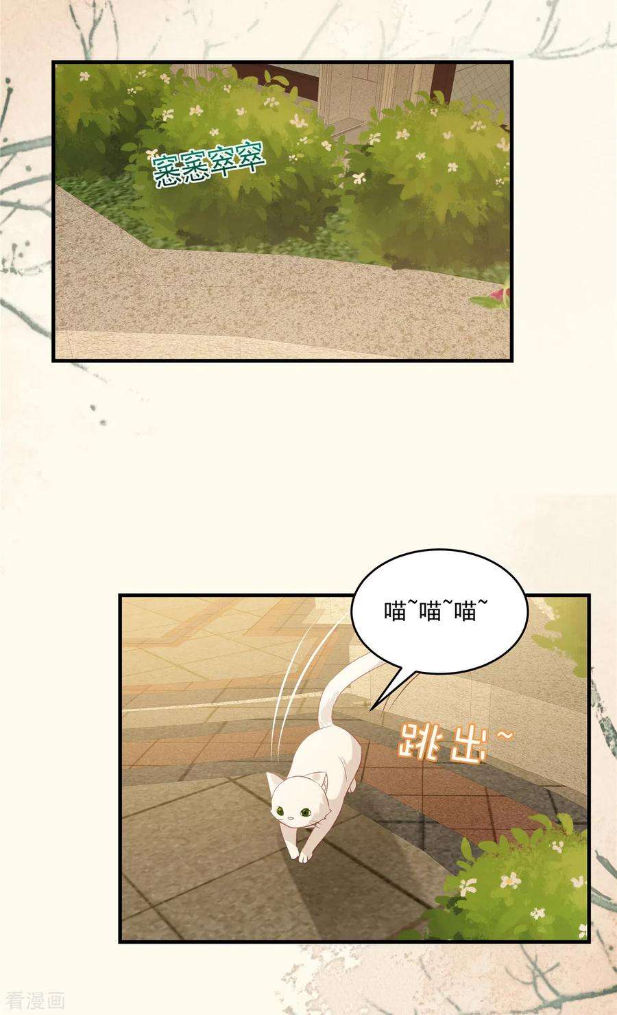 重生相逢：给你我的独家宠溺226话 腿是好的？！