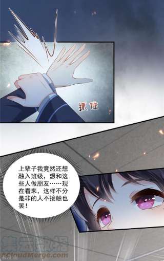 重生相逢：给你我的独家宠溺230话 快去保护她