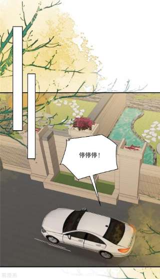 重生相逢：给你我的独家宠溺237话 对林家出手了