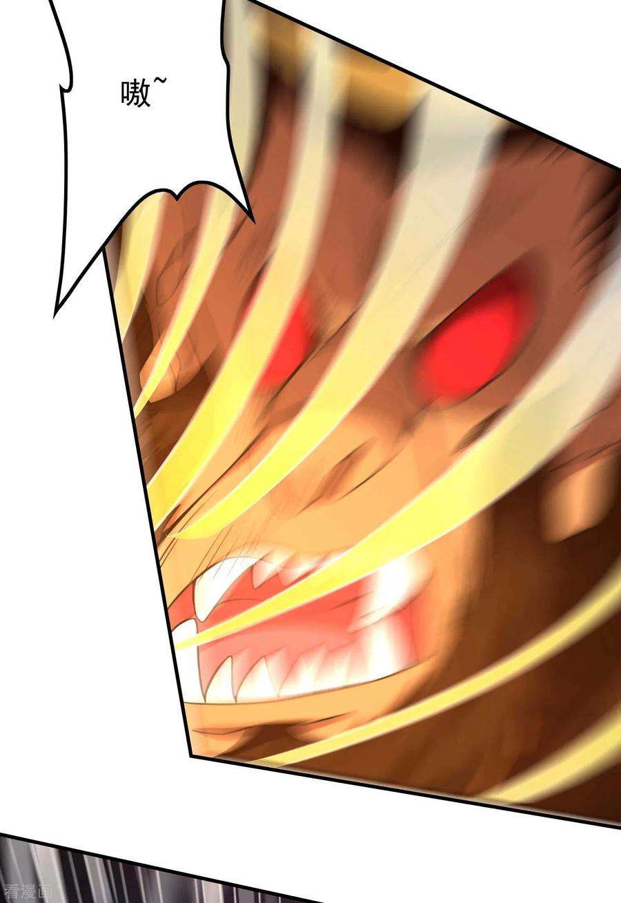 第一赘婿135话 秒杀