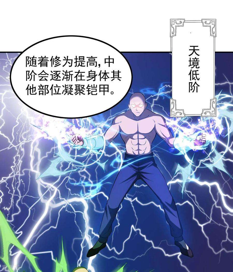 第一赘婿154话 实力等级