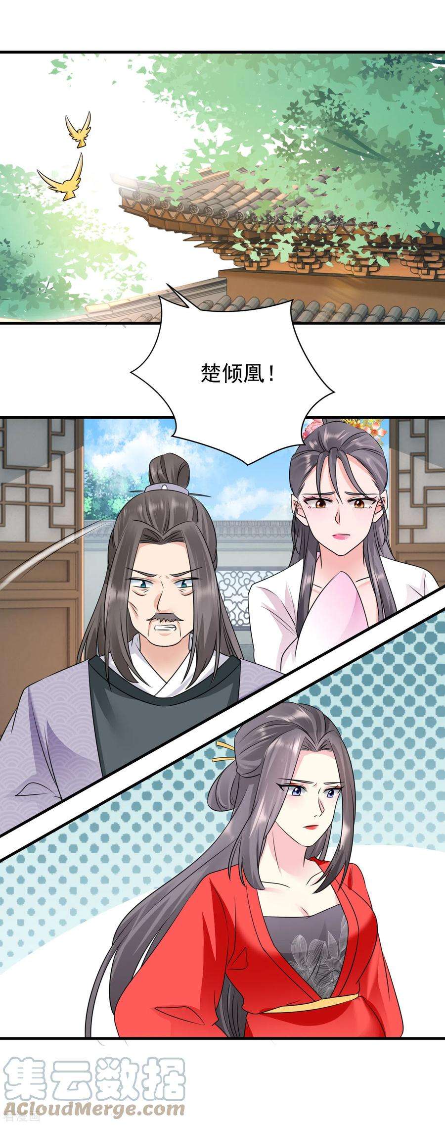 凤归巢：冷王盛宠法医妃78话 搜查相府