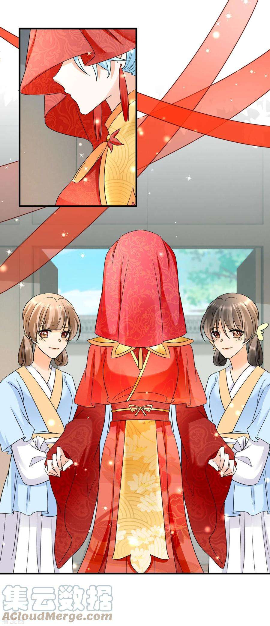 凤归巢：冷王盛宠法医妃100话 大婚意外